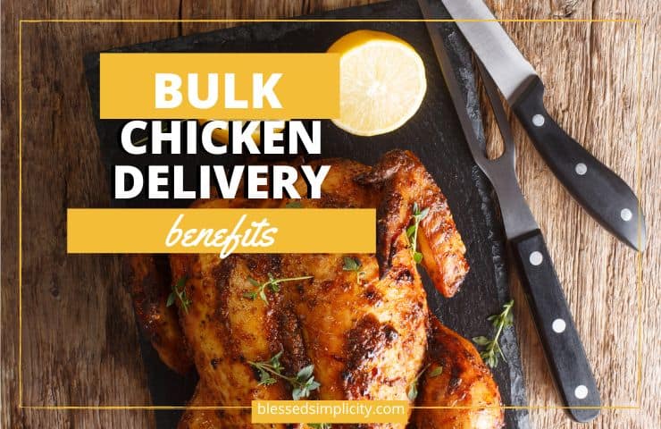 The Benefits of Bulk Fresh Chicken Delivery