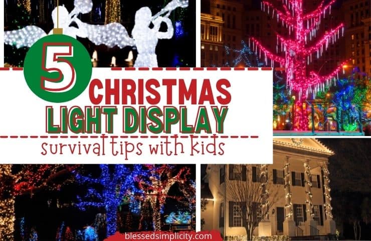 Christmas Light Displays with Kids