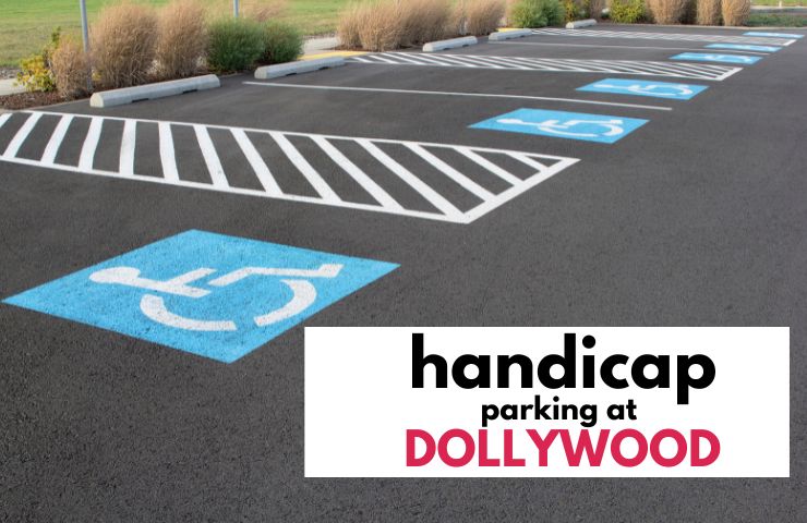 Dollywood Handicap Parking
