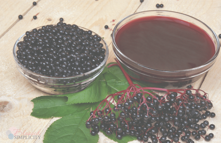 Elderberry syrup is a great all natural winter wellness booster. Elderberries boost the immune system. 