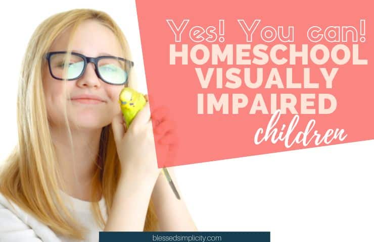 Homeschooling a Visually Impaired Child