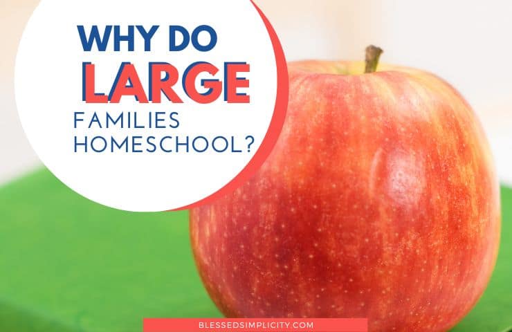 Why do large families homeschool?